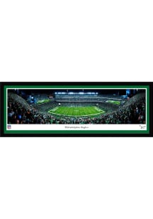Blakeway Panoramas Philadelphia Eagles Select Framed Posters