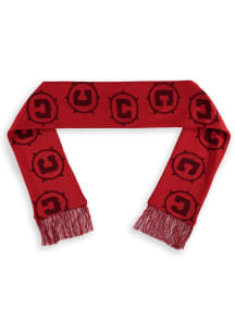 Chicago Fire Hue Mens Scarf