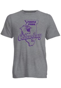 Northwestern Wildcats Grey Go To Caturday Short Sleeve T Shirt