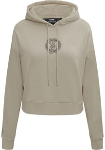Pro Standard Boston Celtics Womens Brown Neutral Hooded Sweatshirt