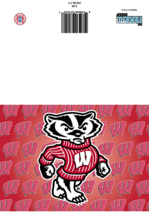 Wisconsin Badgers  Bucky Grad Collectible