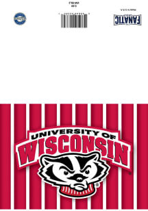 Wisconsin Badgers  Striped Bucky Collectible