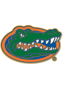 Florida Gators Souvenir Team Logo Pin - Green