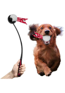 Wisconsin Badgers Pet Ball Launcher Pet Toy
