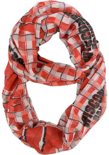 Wisconsin Badgers  Mens Scarf