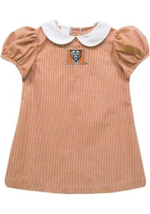 Vive La Fete Mercer Bears Toddler Girls Orange Gingham Collar Short Sleeve Dress