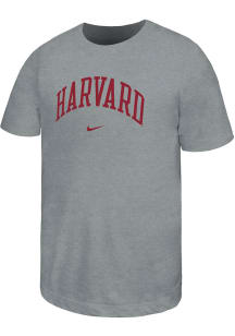 Nike Harvard Crimson Youth Grey Team Wordmark Short Sleeve T-Shirt