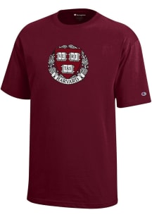Champion Harvard Crimson Youth Maroon Core Short Sleeve T-Shirt
