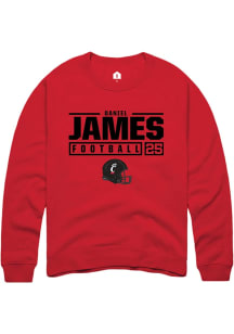 Daniel James  Rally Cincinnati Bearcats Mens Red NIL Stacked Box Long Sleeve Crew Sweatshirt