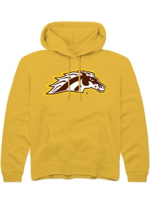 Summit Sportswear Western Michigan Broncos Youth Gold Primary Logo Long Sleeve Hoodie