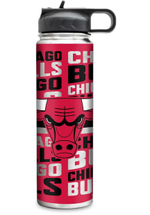 Chicago Bulls 22oz Water Bottle
