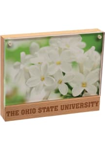 Ohio State Buckeyes Beachwood Photo Frame Picture Frame - Red