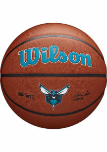 Charlotte Hornets Alliance Full Size Basketball