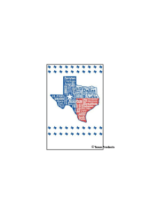 Texas Color Block State Towel