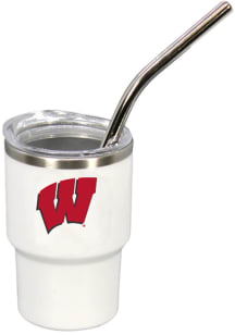 Wisconsin Badgers 20oz tumbler Stainless Steel Tumbler -