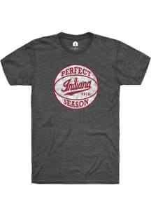 Rally Indiana Hoosiers Grey Perfect Season Short Sleeve Fashion T Shirt