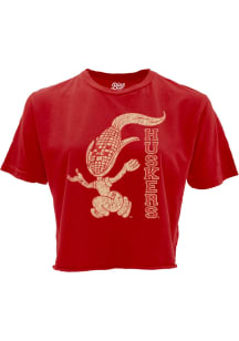 Nebraska Cornhuskers Womens Red Boyfriend Crop Short Sleeve T-Shirt