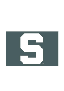 Michigan State Spartans 4x6 Desk Flag