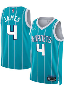 Sion James Charlotte Hornets Nike Icon Swingman Jersey