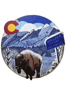 Boulder Buffalo 2D Magnet