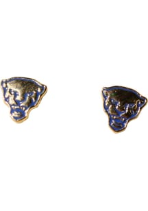 Pitt Panthers Enamel Stud Womens Earrings