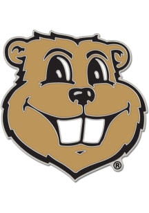 Minnesota Golden Gophers Souvenir Collector Lapel Pin - Red