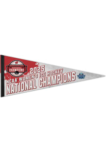 Wisconsin Badgers  Sign -