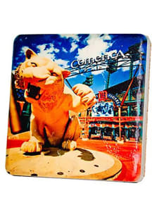 Detroit Comerica Tiger 4x4 Coaster - Brown
