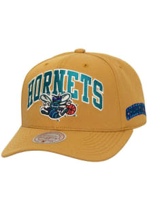 Mitchell and Ness Charlotte Hornets Dusted Arch Pro Snap Adjustable Hat - Brown