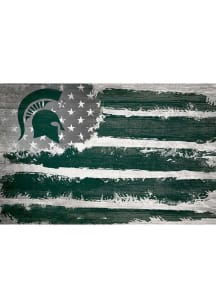Michigan State Spartans Flag 17x26 Sign - Green