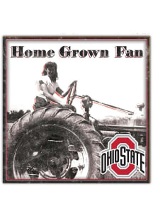 Ohio State Buckeyes Aluminum Can Sign - Red