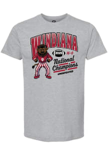 Summit Sportswear Indiana Hoosiers Grey 2025 CFP National Champions WINDIANA Arch Short Sleeve T S..