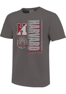 Harvard Crimson Youth Charcoal 90s Texture Type Short Sleeve T-Shirt