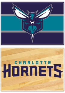 Charlotte Hornets 2pk Rectangle Magnet