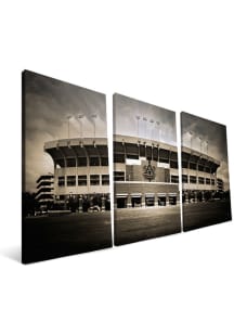 Auburn Tigers Stadium 24x48 Canvas Print Wall Art - Black