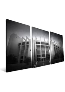 Indiana Hoosiers Stadium 24x48 Canvas Print Wall Art - Black