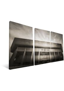 Iowa State Cyclones Stadium 24x48 Canvas Print Wall Art - Black