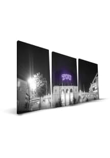 TCU Horned Frogs Stadium 24x48 Canvas Print Wall Art - Black