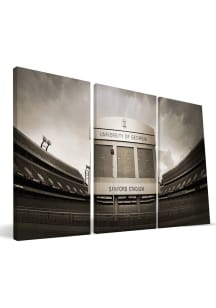 Georgia Bulldogs Stadium 24x48 Canvas Print Wall Art