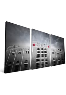 Nebraska Cornhuskers Stadium 24x48 Canvas Print Wall Art - Black