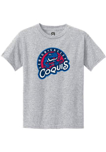 Summit Sportswear Lehigh Valley Ironpigs Youth Grey Primary Copa Short Sleeve T-Shirt