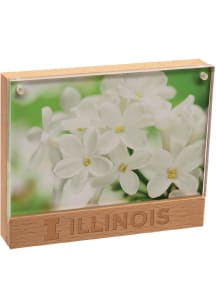 Illinois Fighting Illini Beachwood Photo Frame Picture Frame - Orange