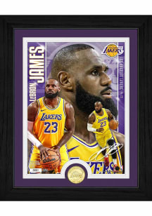 LeBron James Los Angeles Lakers Artist Proof Bronze Coin Photo Plaque
