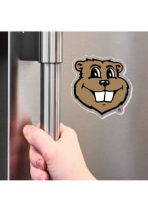 Minnesota Golden Gophers  Magnet