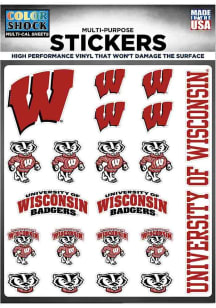 Wisconsin Badgers  Auto Decal -