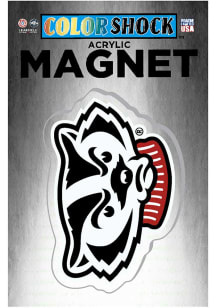 Wisconsin Badgers  Magnet