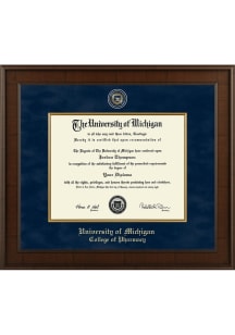 Michigan Wolverines Masterpiece Madison College of Pharmacy Diploma Frame - Navy Blue
