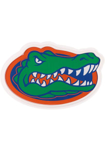 Florida Gators Team Logo LED Neon Sign
