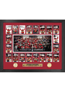 Florida Panthers NHL Stanley Cup Champions 2024 Memorable Moment Plaque