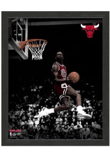 Chicago Bulls Michael Jordan 12x15 Picture Frame - Red